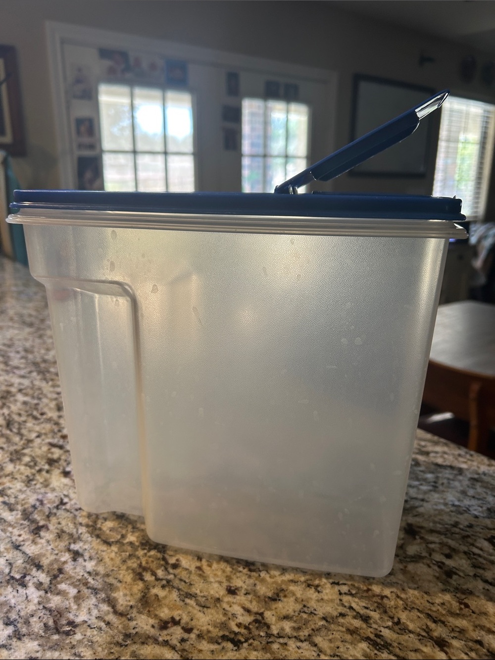 Rubbermaid Blue Lid & 1.3 gallon clear Food Storage Container with pour spout
